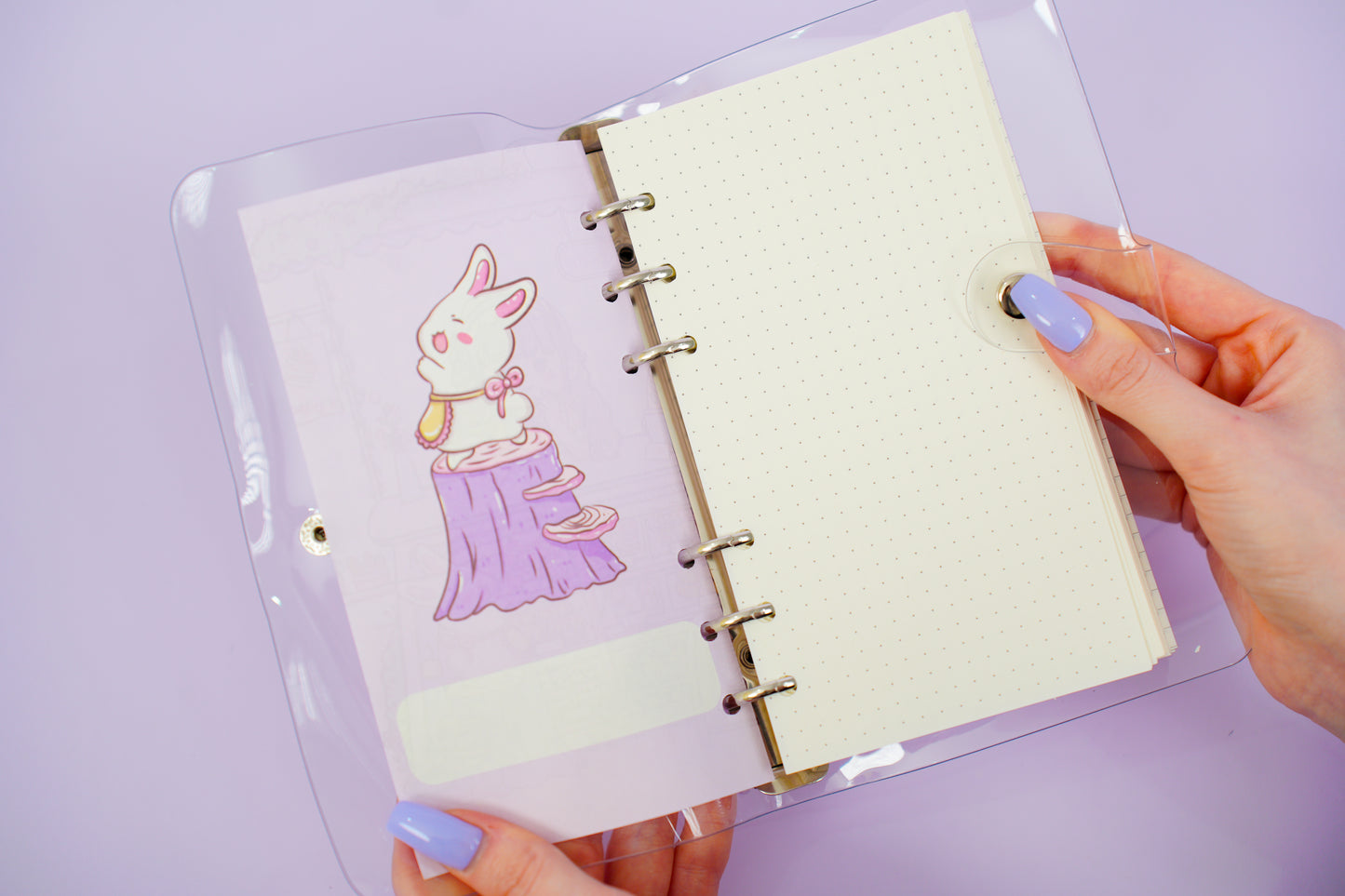 Cakeshop Notebook Package