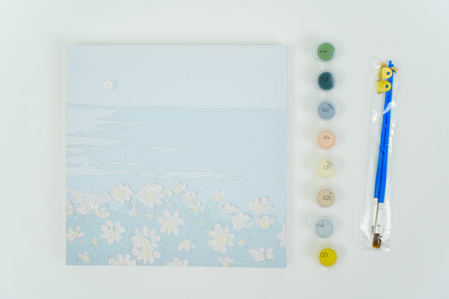 Color by Number - Daisy