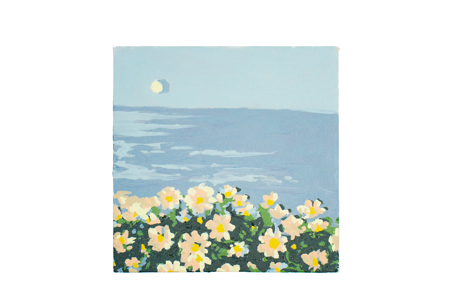Color by Number - Daisy